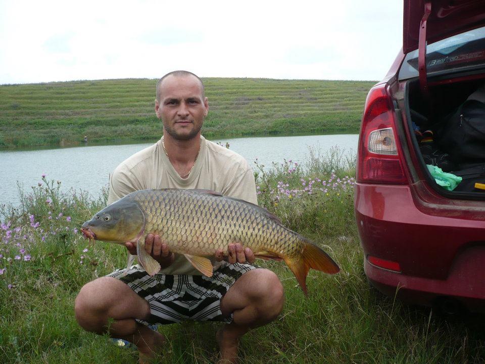 nebunie - frumusete !!!